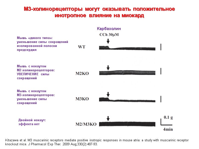 Kitazawa et al. M3 muscarinic receptors mediate positive inotropic responses in mouse atria: a